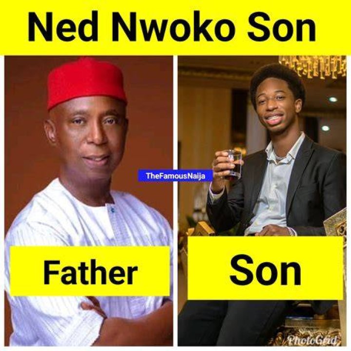 3 Nigerian Billionaires That Make Ned Nwoko’s Net Worth Look Like “A Chicken Change”