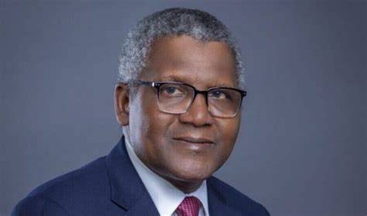 Adeleke Adedeji: A Deep Dive Into His Net Worth In 2024