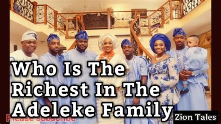 Adeleke Family Net Worth 2024: A Closer Look At Their Wealth