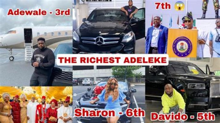 Adelekes' Wealth: Unveiling The Adeleke Networth