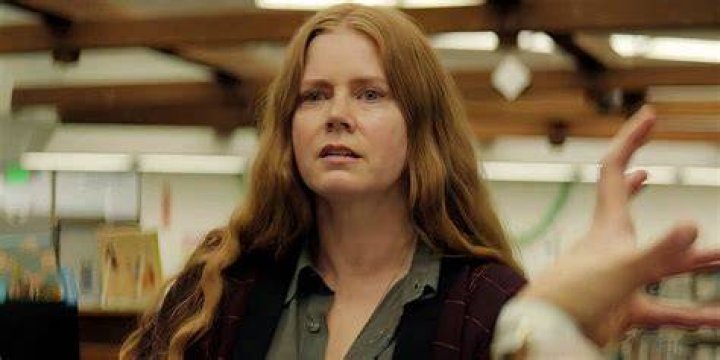 Amy Adams: The Woman Behind The Star And Her Partner