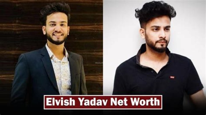 Anil Yadav Net Worth, Income, Salary, Earnings, Biography