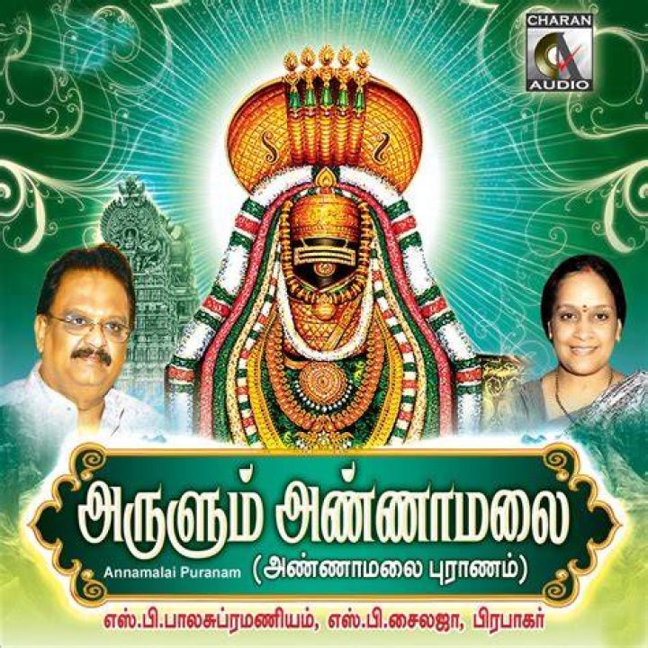 Annamalai's Matrimonial Album: A Glimpse Of His Marital Bliss