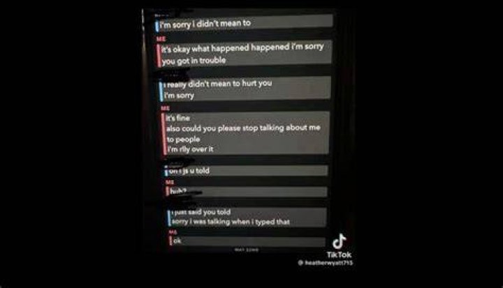 Aubreigh Wyatt's Bullying Behavior On Snapchat Exposed