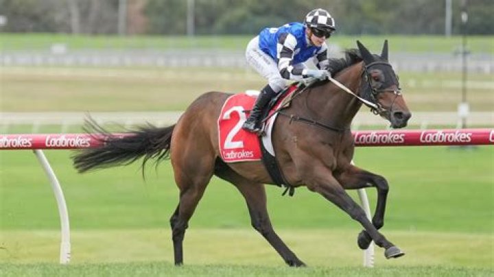 Celine Gaudray Jockey: Everything On Her Age &amp; Wiki