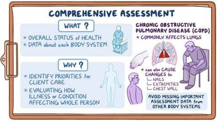 Decoding Tylas Waist Measurement: A Comprehensive Insight
