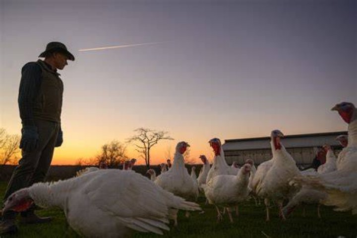 Discovering The Charm Of Harts Turkey Farm In New Hampshire