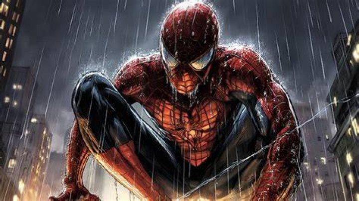Discovering The World Of Rain Spiderman