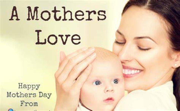 Embracing The Essence Of Mother Warmth: A Journey Into Unconditional Love