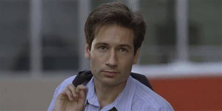 Exploring David Duchovny's Rise To Fame In 1990