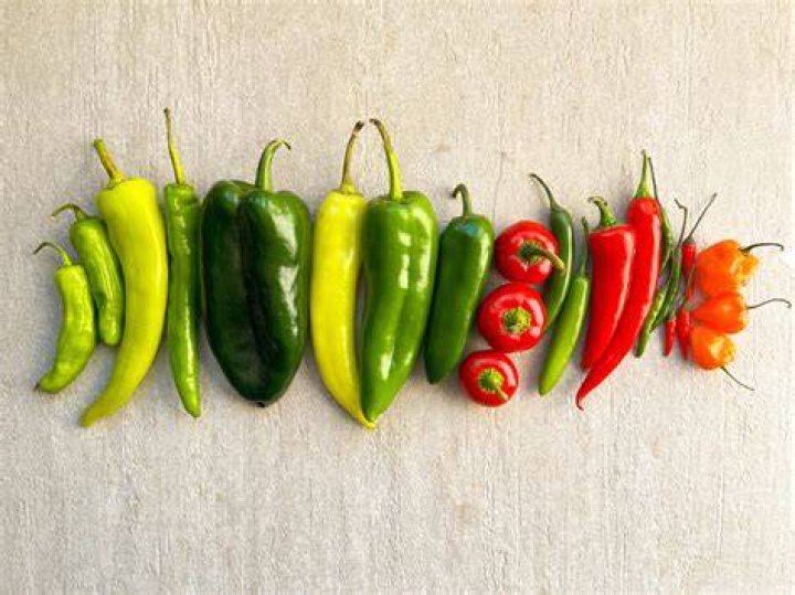 Exploring The Depths Of Red Hot Chili Peppers Helena
