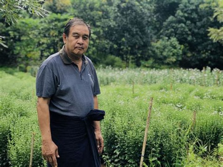 Exploring The Enigmatic World Of Neighbours Kpkuang