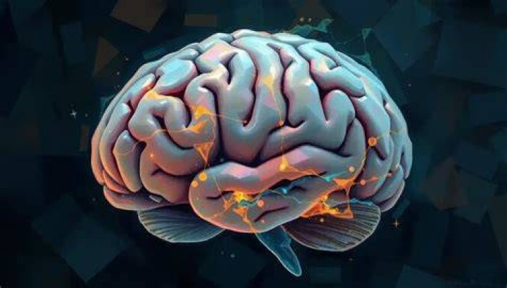 Exploring The Fascinating Journey Of Brain Shaw