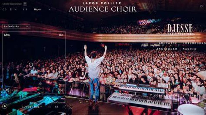Exploring The Heart Of Jacob Collier's Family: A Musical Legacy