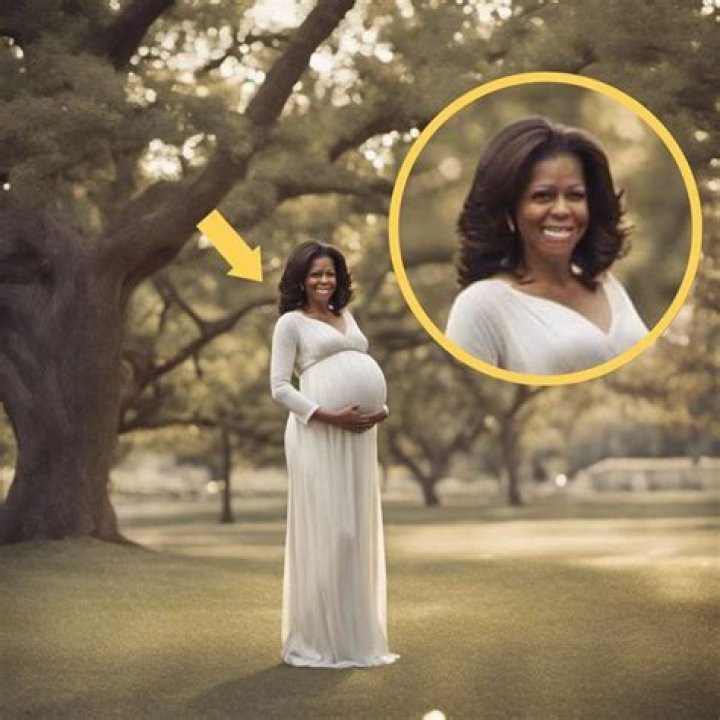Exploring The Heartwarming Journey: Pictures Of Michelle Obama Pregnant