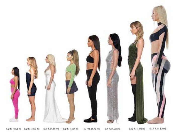 Exploring The Heights: A Sabrina Carpenter Height Comparison