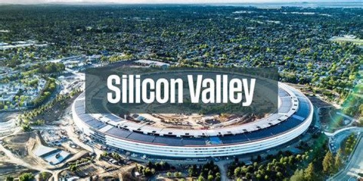 Exploring The Journey Of Silicon Valley Tara: A Rising Star