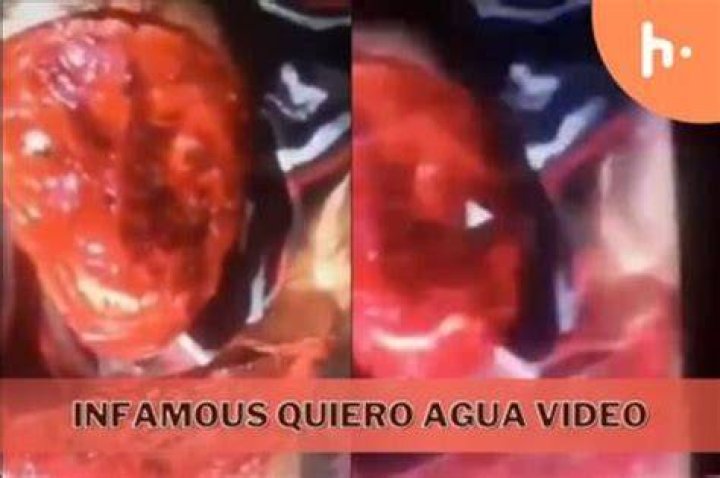 Exploring The Phenomenon Of Quiero Agua Video Gore