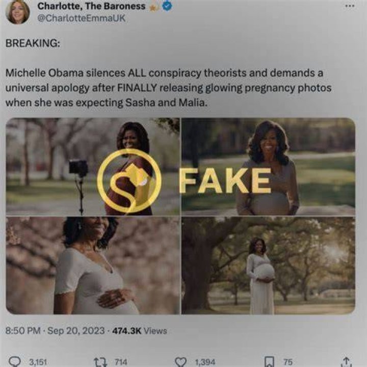 Exploring The Rumors: Was Michelle Obama Ever Pregnant?