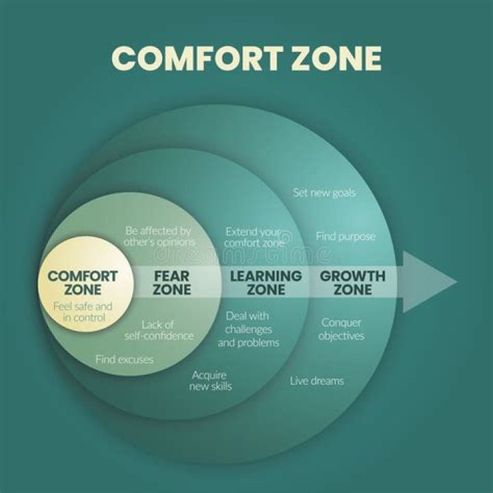 Exploring The Warmth Of Ty Comfort: A Journey Into Comfort And Connection