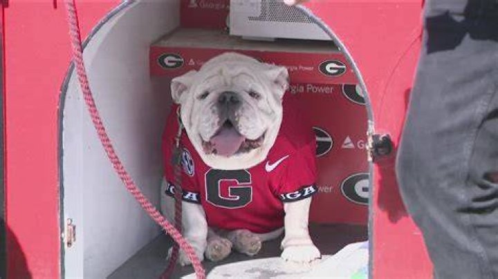 Georgia Bulldogs: Who Are Jermaine Burton Parents? Meet Them On His Instagram