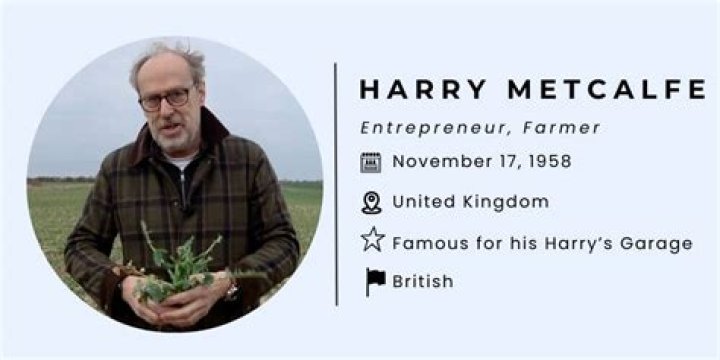 Harry Metcalfe Income, Net Worth, Salary, Earnings Updated