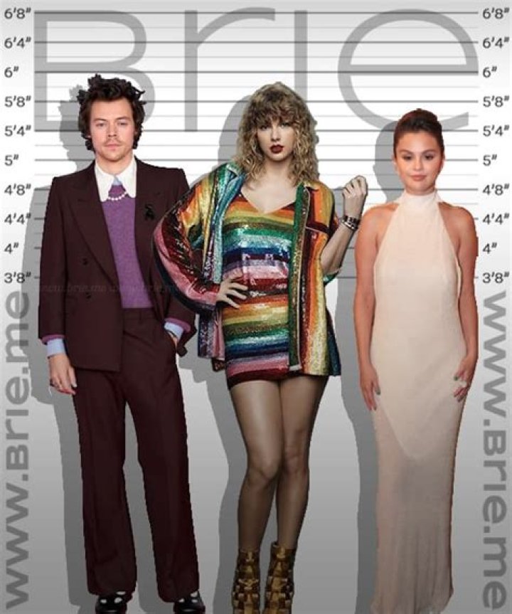 Harry Styles Height In CM: Get The Answer Here