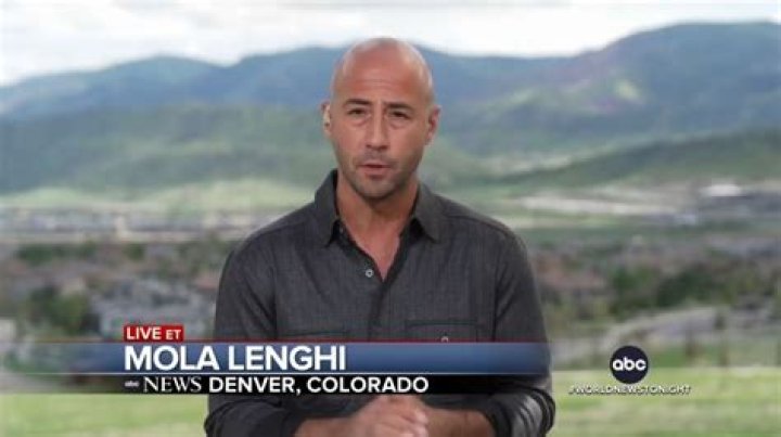 Here's The Untold Truth We Know About ABC News Correspondent Mola Lenghi 