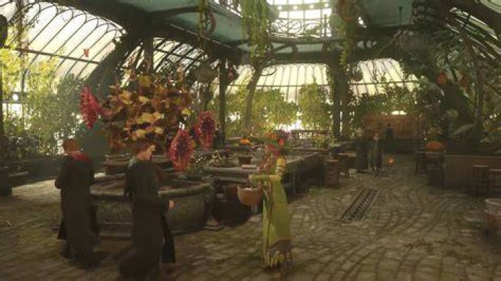 Hogwarts Legacy mandrakes: where to find them and what they're used for