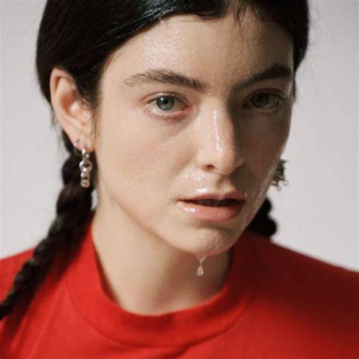 Is Lorde LGBTQ? Exploring The Singer's Identity And Advocacy