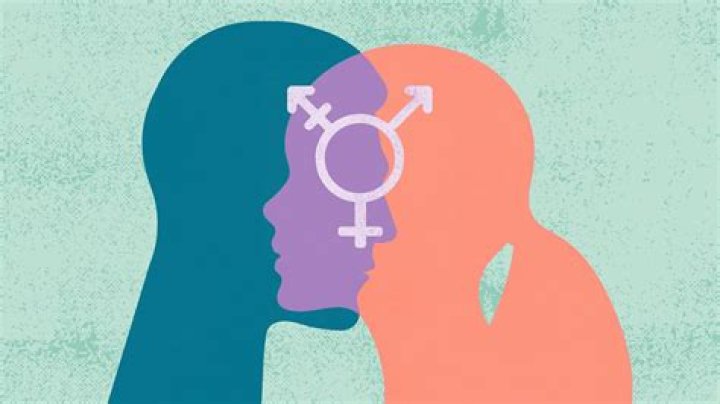 Is Masha Gessen Male Or Female – Everything To Know About Gender and Sexuality Wiki Age, Biography,