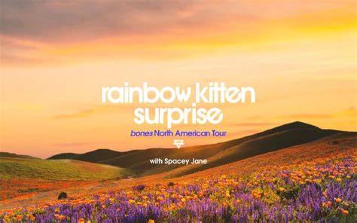 Is Rainbow Kitten Surprise Religious? Here We Explore Their Band Members And Faith