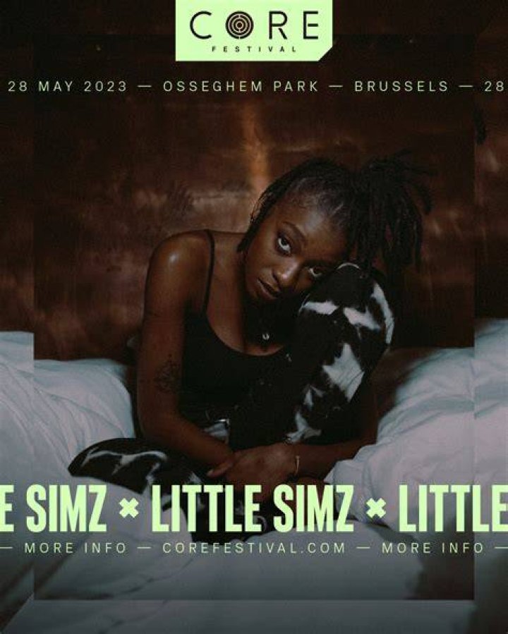 Is Rapper Little Simz Gay? Everything On Her Partner And Sexuality