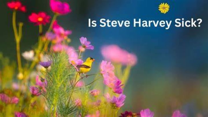 Is Steve Harvey Alive: Steve Harvey Health Condition Update
