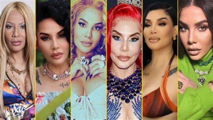 Ivy Queen Before And After Surgery: What Did The Singer Do To Her Face?