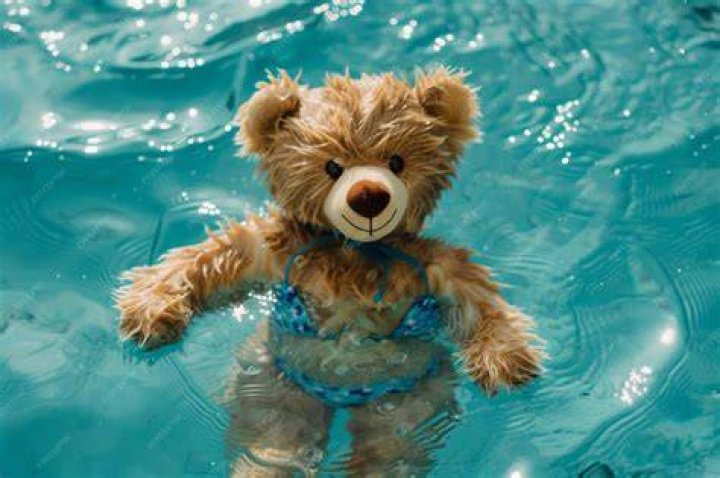 Master The Art Of Teddy Bear Swimming: A Comprehensive Guide