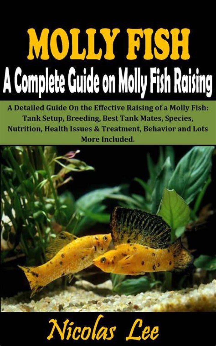 Molly Nublit: The Complete Guide