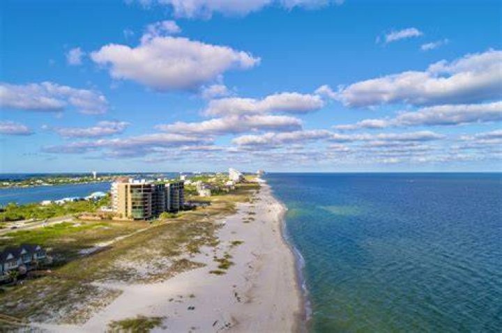 Molly Ocean Springs: A Hidden Gem Of The Gulf Coast