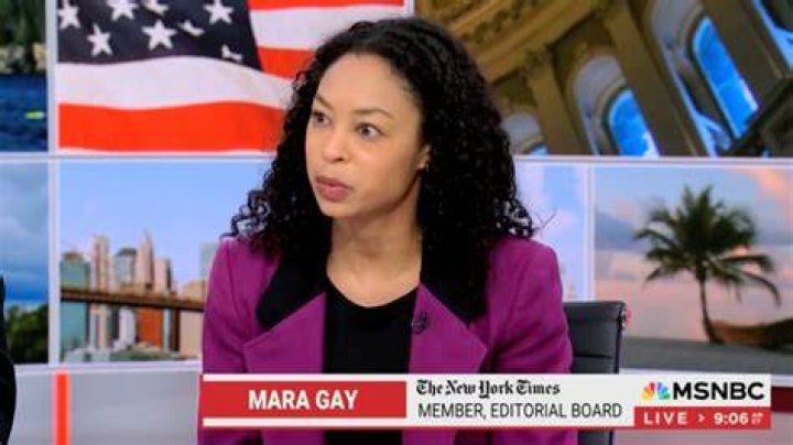 MSNBC: Mara Gay Is Married To Doug Jackner, Meet Her Husband and Parents – How Old Is She Today?