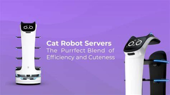 Nikki Cat: A Purrfect Blend Of Charm And Cuteness