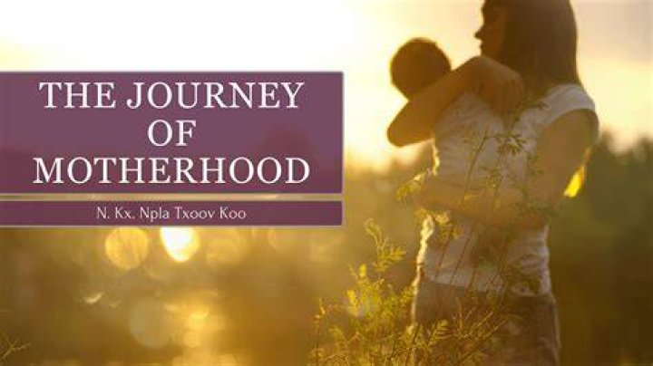 Noa Pregnant: The Journey Of Motherhood