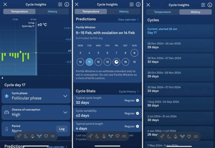 Oura now syncs temperature data with Natural Cycles app