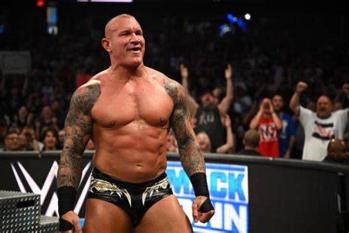 Randy Orton's Height And Weight: The Stats You Need To Know