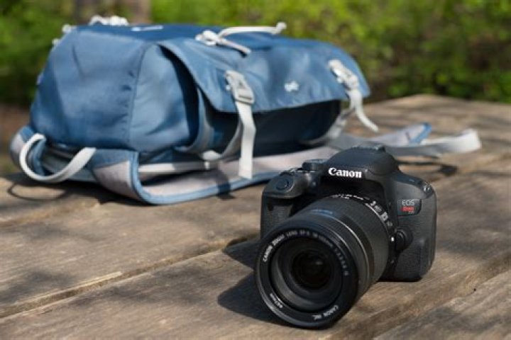 Rebel Showdown: Canon EOS Rebel T7i versus T6i