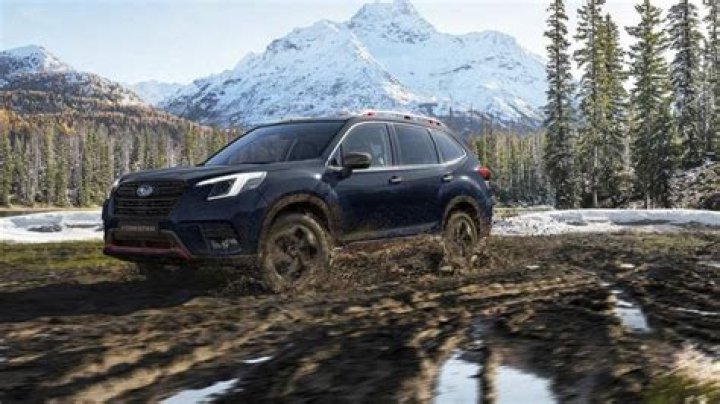 Seleccionamos para ti los mejores autos para la nieve