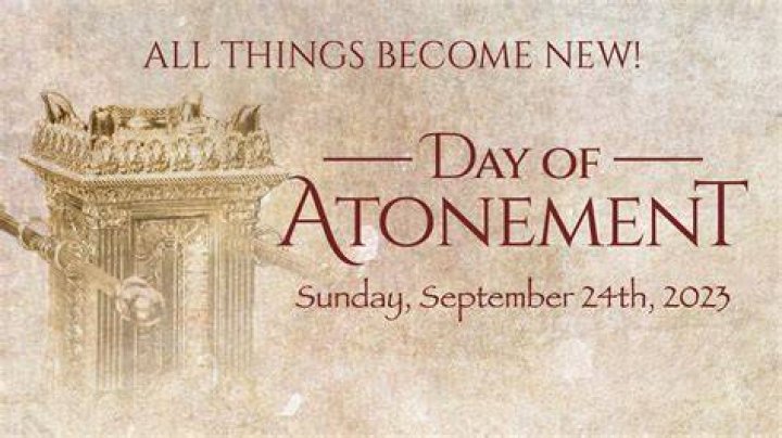 Text Apology Fame: The Digital Age Of Atonement