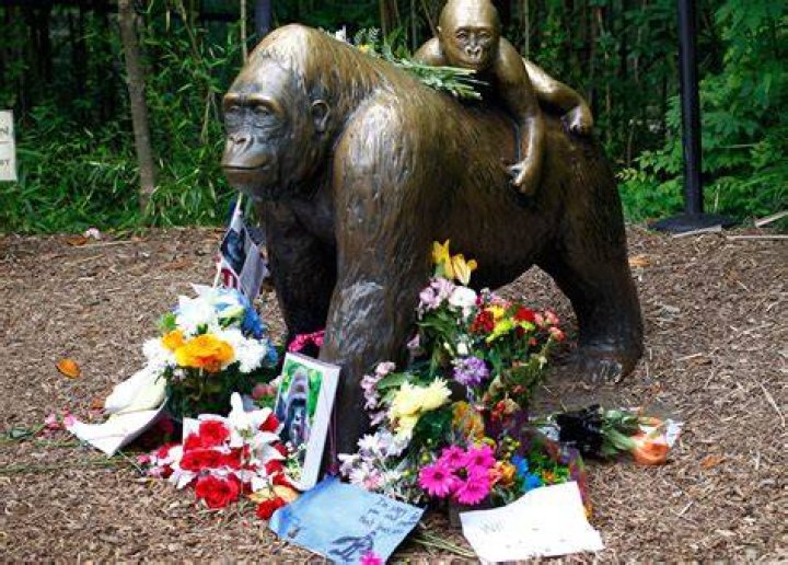 The "Ava Case": A Tragedy That Shocked The Nation