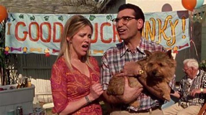 The Best Mockumentary Movies of All Time