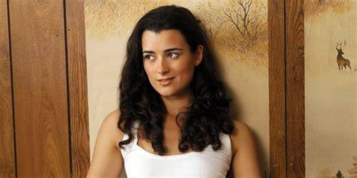 The Definitive Guide To Cote De Pablo's Daughter's Age