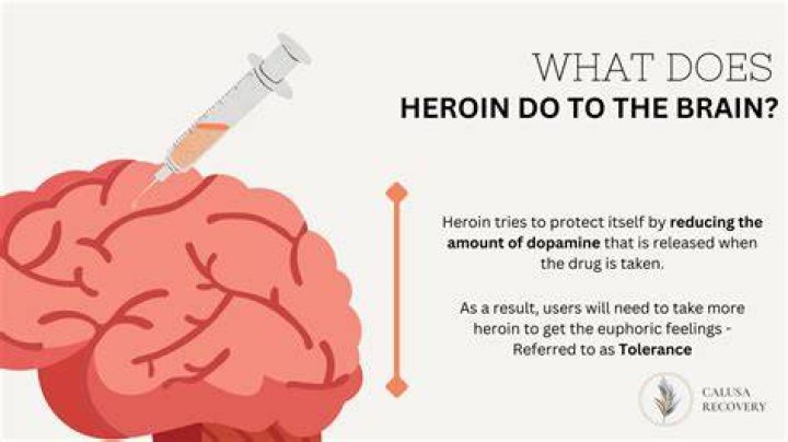 The Devastating Impact Of Heroin On Jade Castrinos' Life
